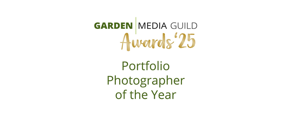 11 Portfolio Photographer of the Year